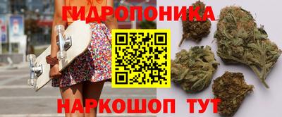 бошки Малгобек